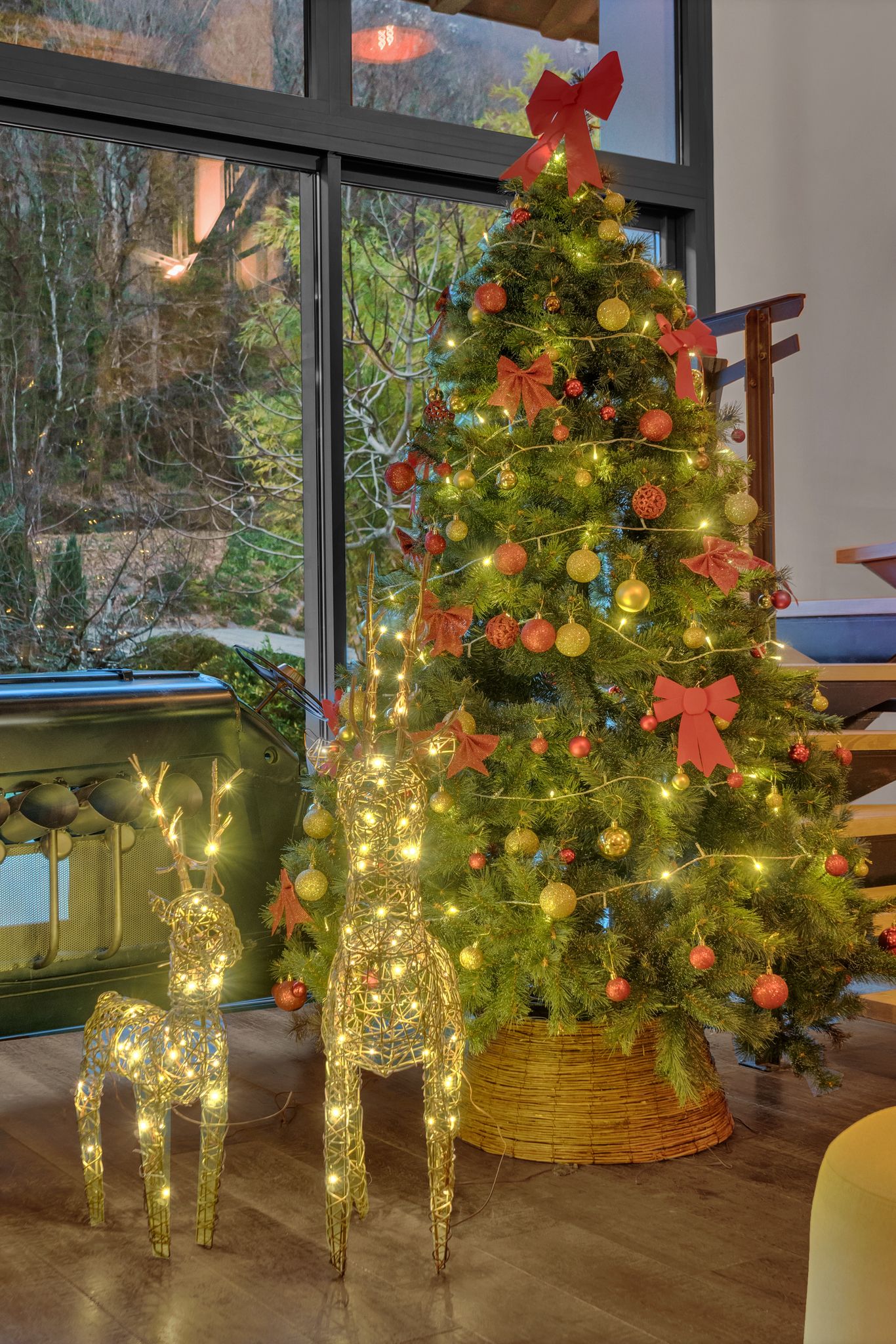 WhatsApp Image 2025-12-04 at 08.35.50